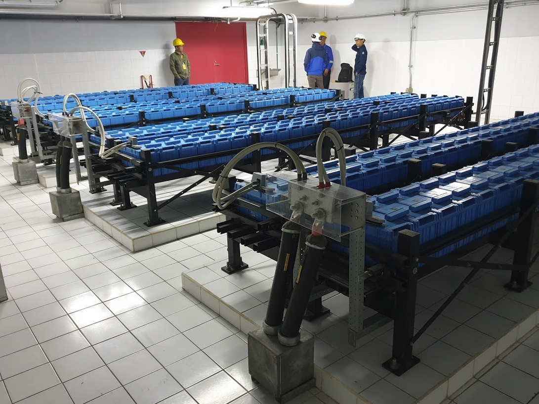 PT. Geo Dipa Patuha (PLTU) Testing Battery FIAMM Type 2 SLA 500, 19 Desember 2020